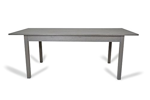 Trendyitalia 12236 Tavolo Allungabile Legno Larice Grigio