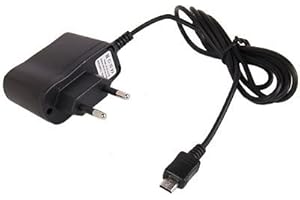 WICAREYO Adattatore della parete di CA del caricatore di alimentazione per 3DS 2DS 3DS XL DSi 3DSi DSi LL DSi XL DSi EU Plug