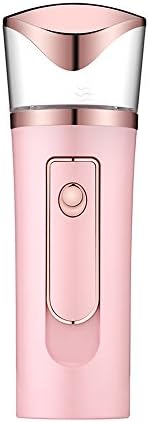LIWUYOU Mini Facial Mist Sprayer Handy Nano Moisture Sprayer Mister Portable Humidifier Steamer with Power Bank USB Rechargeable Beauty Skin Care Instrument, Pink