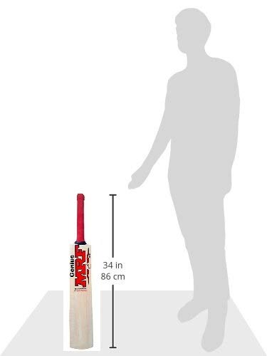 cricket bat 10 year old