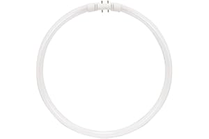 KOR (2 Stück) fc40t5/2.120,9–30,5 cm T5 Fluoreszierendes Limetten Circline Ringlampe – 40 Watt, bright white, 3500K-White 40.00 120.00 volts
