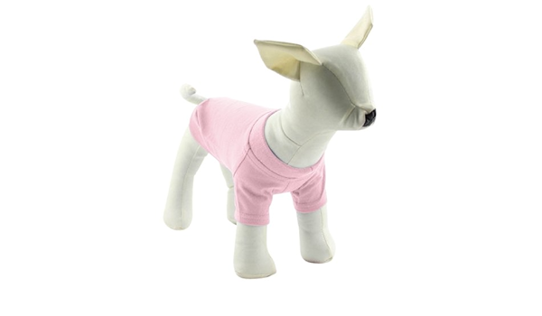 cat scratching station