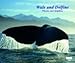 Wale und Delfine - Fotokunst-Kalender 2009 by