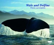 Wale und Delfine - Fotokunst-Kalender 2009