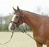 Hersteller: Busse Busse Gogue Basic, Vollblut/Warmblut, schwarz/NP