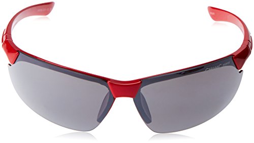 Alpina Sonnenbrille Amition Draff Outdoorsport-Brille - 2