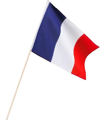 Drapeau Japon 30 X 45 Cm - Polyester Résistant - Imprimé Recto-verso - Pour Intérieur/extérieur - Manche 8 Mm - 7