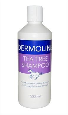 Preisvergleich Produktbild Dermoline Tea Tree Oil Shampoo 500ml by Dermoline
