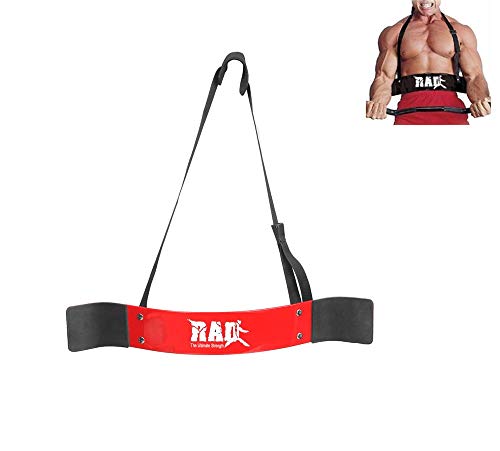Aislador de bíceps de RAD, ideal para levantamiento de peso y entrenamiento de brazos