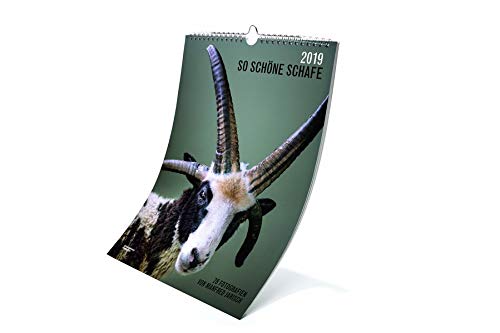 So Schöne Schafe