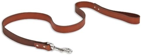 Ruff Maxx 10834 Leather Dog Leash, 24-Inch, Brown