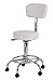 Beauty Salon Supplies Therapist Stool with optional backrest - White
