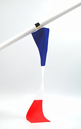 5er-Set Frankreich miniflag | Fan-Artikel in National-Farben | kleine mini-Fahne | Fan und Party-Fähnchen u.a. für Fußball Handball Beach-Volleyball Tennis Ski WM EM Olympia Sport-Events |