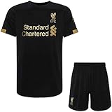 liverpool 2019 goalkeeper shirt