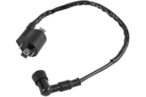 Bobina di accensione-Duokon Bobina di accensione moto, bobina di accensione a 2 pin per CBF125 CBR125 CR125 CR250 CRF450 CR500 TRX650 TRX700