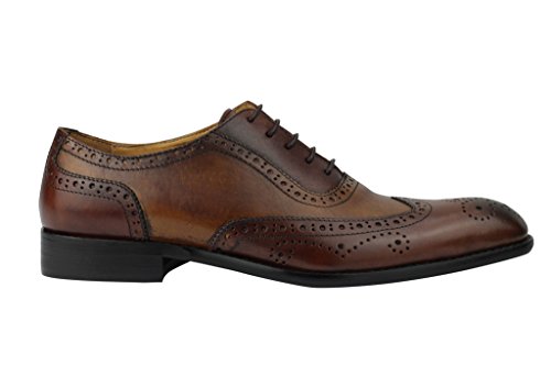 « Click to Enlarge and to go to Amazon »