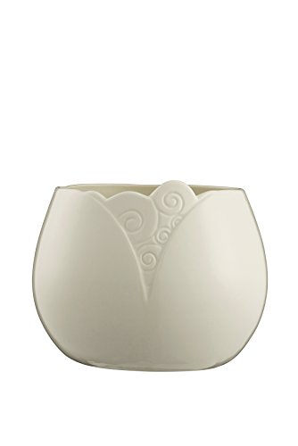 Belleek Living Swirl Pot