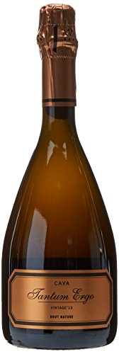 Bodegas Hispanosuizas Cava Vintage Tantum Ergo Chardonnay & Pinot Noir Brut Nature - 750 ml