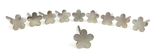 Blumennägel – 2,5 x 40 mm / Nägel mit Blütenkopf, Ziernagel aus Edelstahl, 20 Stück / 20x Blumennagel / Ziernägel, tolle Deko, Dekoration, Wandhaken, Schlüsselhaken, Basteln & Heimwerken - 3