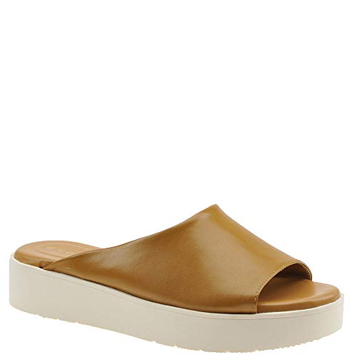 Preisvergleich Produktbild Evolve By Easy Spirit Flora Women's Sandal