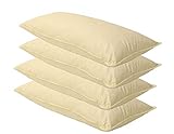 4 x Sofa Federkissen 40x60 cm (echte Federn) robust & formstabil 4 x Sofa Federkissen 40x60 cm (echte Federn) robust & formstabil