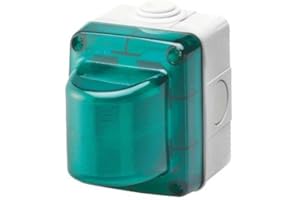 GEWISS - GW27416DY Warnleuchte, 15 W, 230 V, grüner Diffusor, IP55, Grau RAL 7035