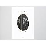 Kunstdruck Poster / ABC Plants –