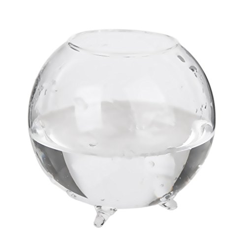 Generic Glas Hydroponischen mini Vase Kugel Mikro Landschaft DIY Flasche Terrarien Fisch Behälter 8cm - 9