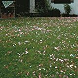 COTTAGE GARDEN ECO RED AND WHITE CLOVER LAWN GRASS SEED SELF FEEDING (800g)