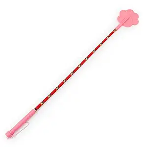 Kiki N Pooch Training Paw Shape Design and Walking Stick for Dogs - Color May Vary (Training Stick)