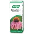(2 Pack) - A Vogel - Echinaforce Drops | 50ml | 2 Pack Bundle