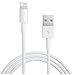 Price comparison product image Apple MD818ZM/A Lightning Charger/Data Cable with USB Connection