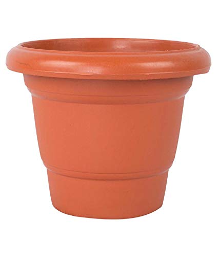 Kuber Industries Plastic Flower Pot, Brown (CTKTC47)