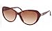 Produktbild New Bvlgari BV 8131B 5264/13 Burgundy Frame With Brown Shaded Lens Men Women CatEye Sunglasses