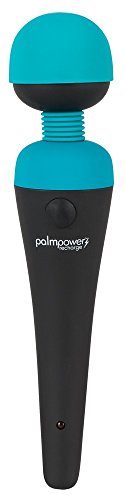 Preisvergleich Produktbild ORION Palm Power Massagegerät