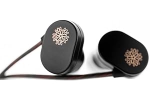 Moondrop JIU Écouteurs intra-auriculaires 10 mm haute performance dynamique IEMs MEMS avec port USB-C