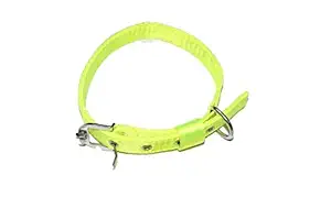 Smart Doggie? Pure Nylon Fluorescent Colour Collar for Your Medium Size Dogs (1 INCHES (Medium), Lime Green)