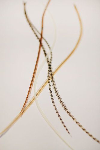 One Fine Day Feathers Haarverlängerung, 5 Federn, , braun / weiß - 2