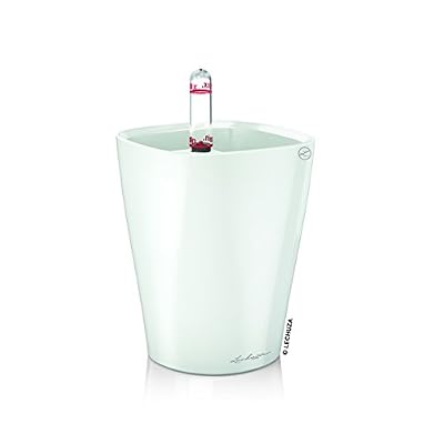 LECHUZA 14950 Mini-deltini Kit Complet Blanc Brillant