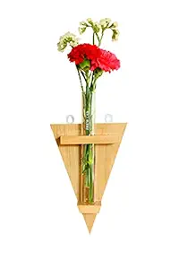 Brew Lab Triangle Wall Mount Planter, Modern Flower Vase with Wooden Stand. Glass Test Tube Planter for House, Office or Shop Decoration. ( Test Tube - 1, Wooden Stand)