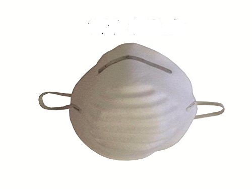 100 Stück Staubmaske