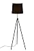 Produktbild Briloner Leuchten Stehlampe, Wohnzimmerlampe, schwarzer Lampenschirm, inkl. Schnurschalter, E27, Höhe: 139.5 cm, Metall 60 x 60 x 139.5 cm