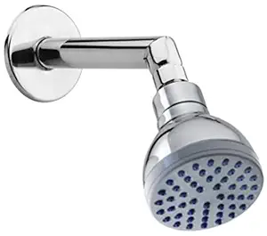 Drizzle Ruby Overhead Shower With Arm