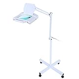 ♡ Detalle: Lente de vidrio rectangular extragrande de 7.5 pulgadas x 6.25 pulgadas, aumento de 5 dioptrías de calidad óptica. El brazo de soporte puede estar en diferentes ángulos para satisfacer sus diferentes necesidades. El diseño plegable y desmontable es conveniente para la belleza en movimiento.