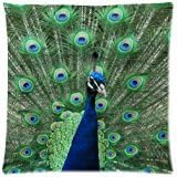 Custom Peacock at Warwick Castle Zippered Pillow Case Decor Cushion Covers Square 18" x 18" Inch (Twin Sides)