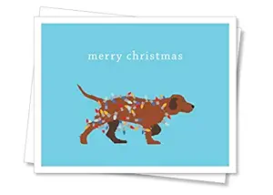 Apartment 2 Cards Holiday Dog Lights Boxed Christmas