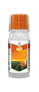 Bayer Laudis (Herbicide), 230ml