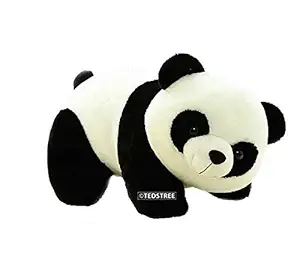 TEDSTREE Cute Stuffed Soft Toy for Kids Lovable Huggable Perfect Present for Birthday, Babies & Children Teddy Bear Toy (20 cm, Black, White)