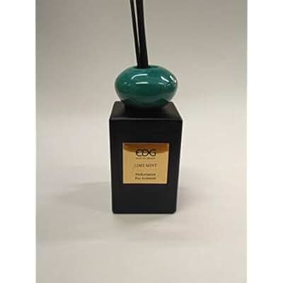 Amazon.fr : parfum d ambiance avec batonnet : Hygiène et Santé