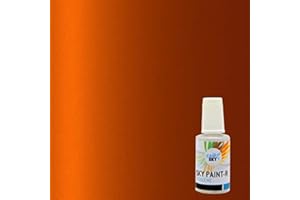 CARSKY stylo retouche peinture carrosserie compatible avec Renault Orange Arizona Mica ENZ (flacon pinceau 20ml) + vernis brillant (flacon pinceau 20ml)